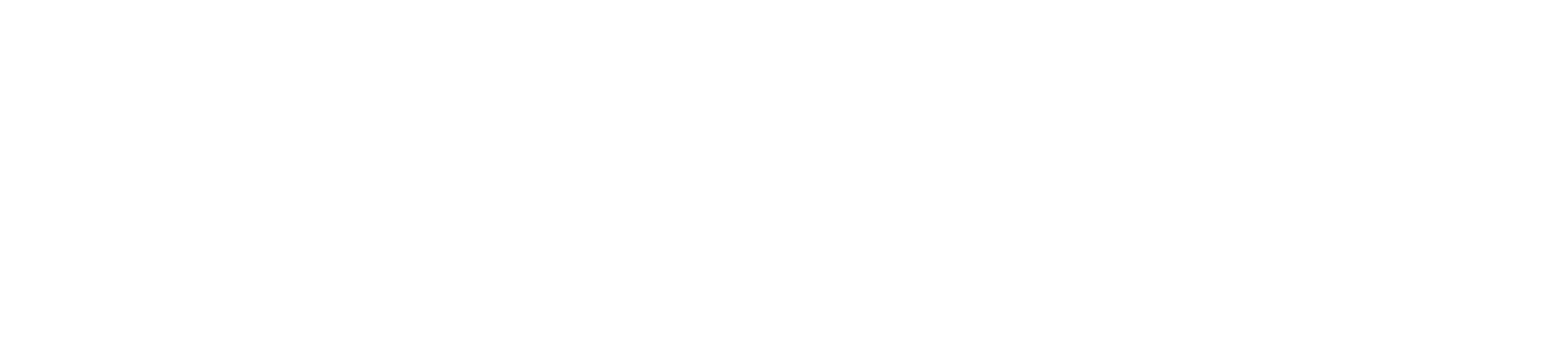 Everything Entrepreneur Logo (White)